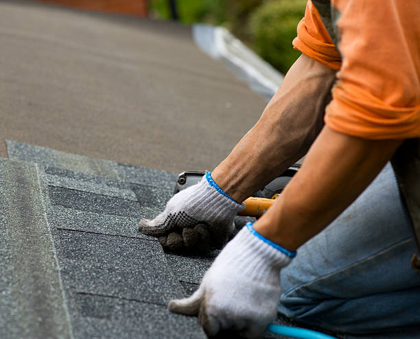 Roof Waterproofing Services in Warm Mineral Springs, FL